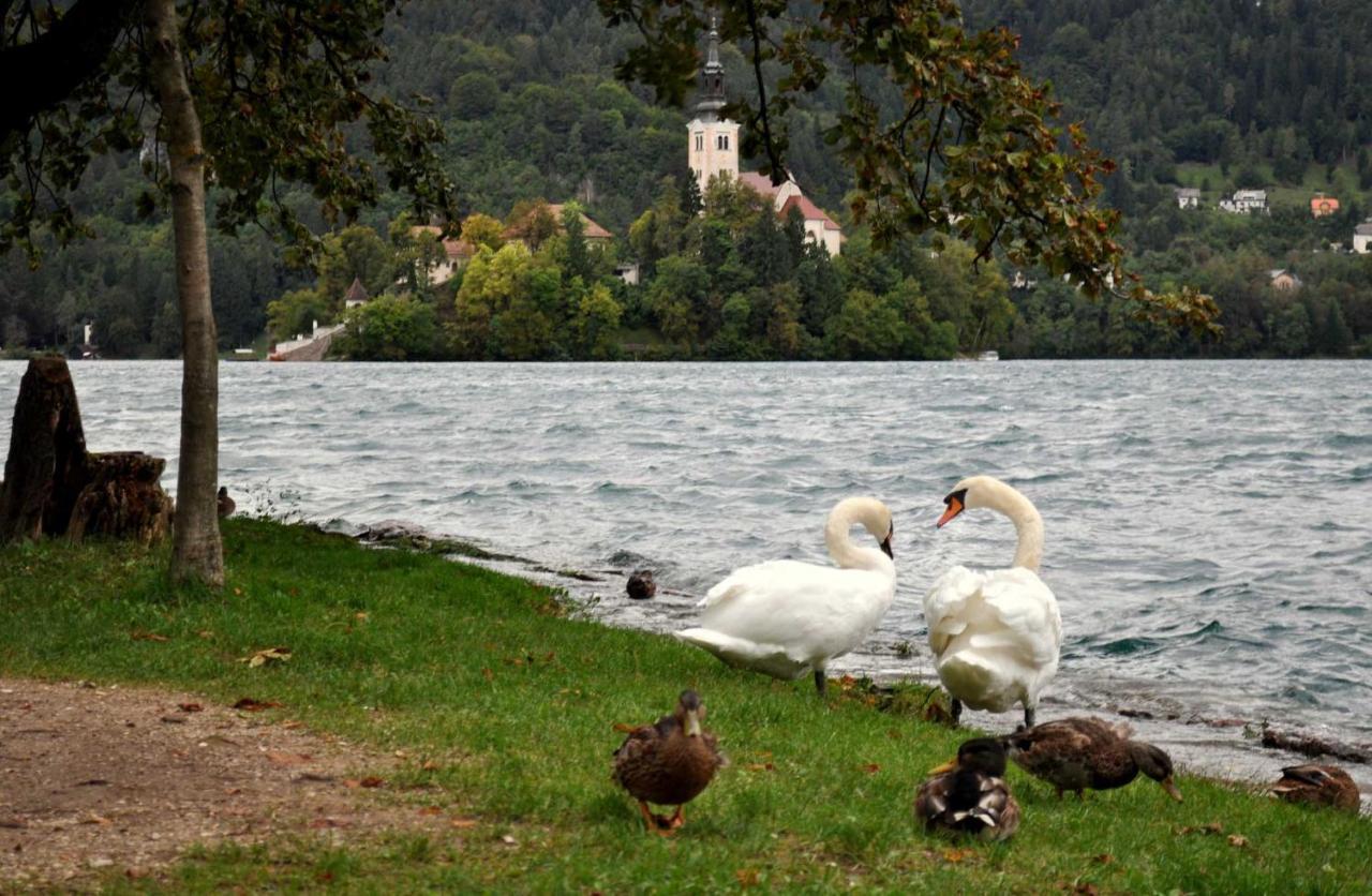 Apartma Toro Bled Apartman Kültér fotó